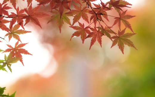 969482 (a): :1920x1200